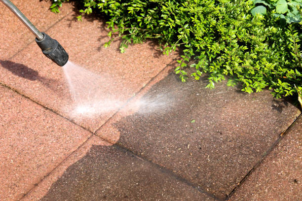 Best Pressure Washing Company Near Me  in Chelsea, MA